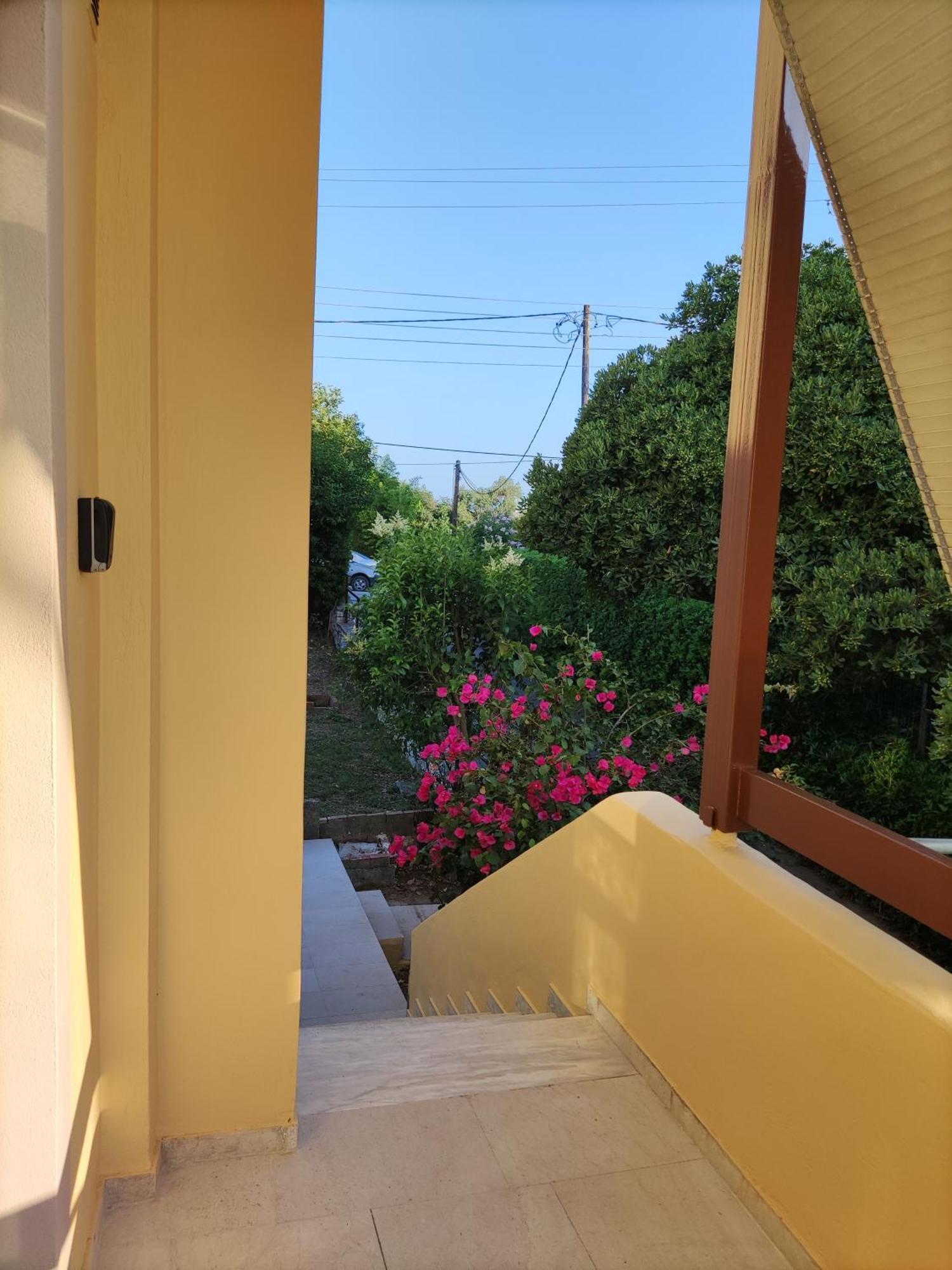 Angelique'S Cozy Apartment Alepou Dış mekan fotoğraf